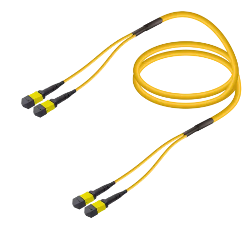 2xMTP-2xMTP Single-mode Breakout