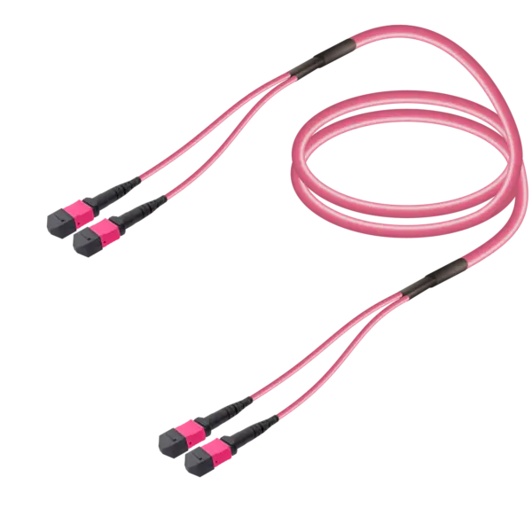 2xMTP to 2xMTP Multi-mode Breakout