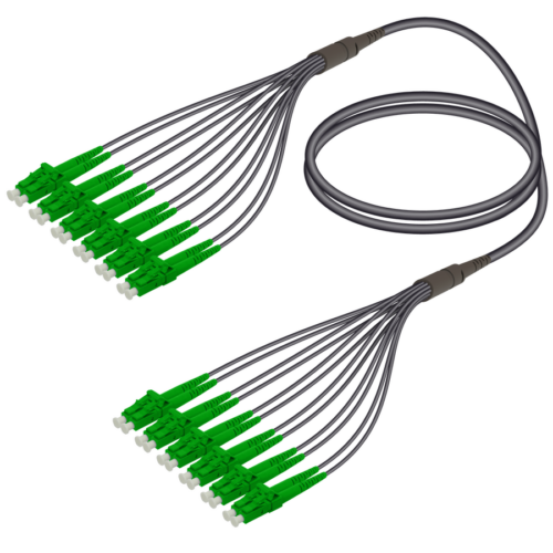 LC/APC-LC/APC | 12 Fibers Universal Fanout | Single Mode G657.A2 | 4.8/1.8mm