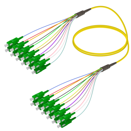 SC/APC-SC/APC | 12 Fibers Fanout | Single Mode G657.A2 | 3.0/0.9mm