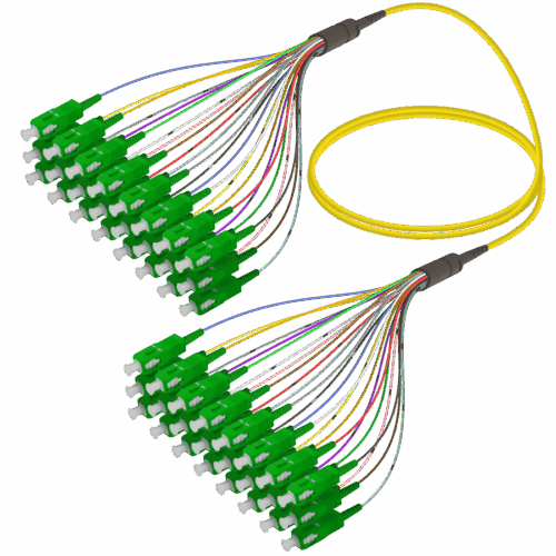 SC/APC-SC/APC | 24 Fiber Fanout | Single Mode G657.A2 | 3.0/0.9mm
