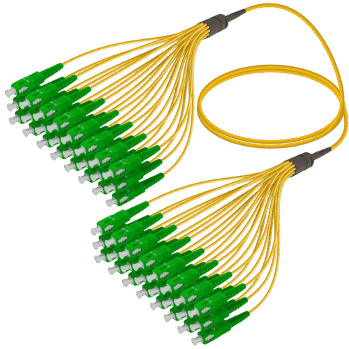 SC/APC-SC/APC | 24 Fiber Fanout | Single Mode G657.A2 | 3.0/1.8mm