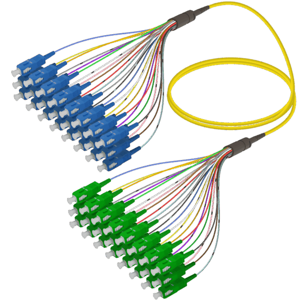 SC/UPC-SC/APC | 24 Fiber Fanout | Single Mode G657.A2 | 3.0/0.9mm