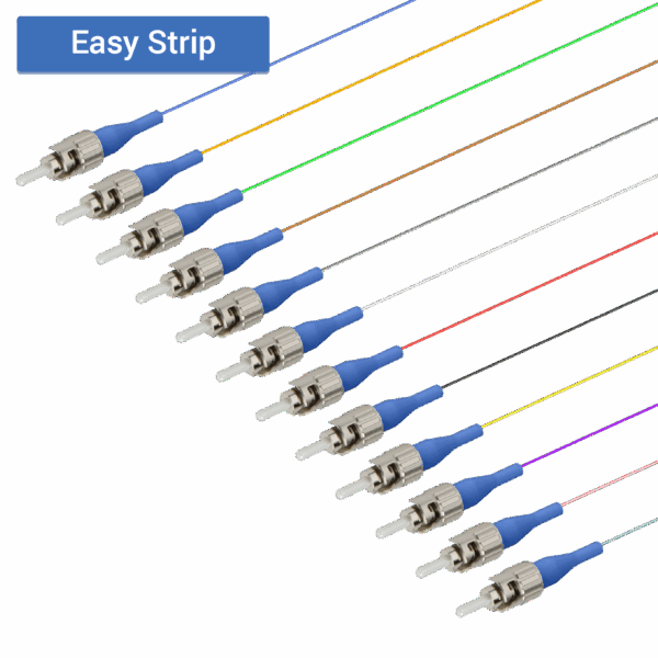 ST/UPC 12 Fiber Pigtail | Single Mode G657.A2 | 0.9mm